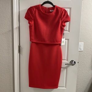 Calvin Klein coral form fitting dress